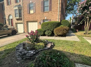 Bush Trimming by Jose M Rodriguez for Amy S. in Alexandria, VA