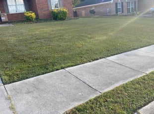 James P.'s Lawn Maintenance service result