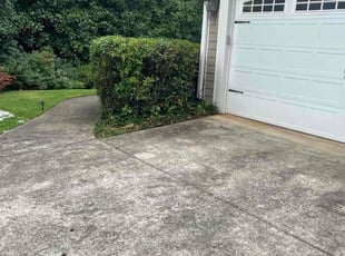 Bush Trimming by Andrew Fields for Luke D. in Athens, GA