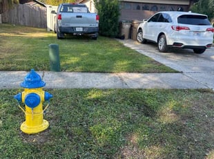 Ruby R.'s Lawn Maintenance service result