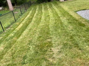 Lewis M.'s Lawn Mowing Service service result