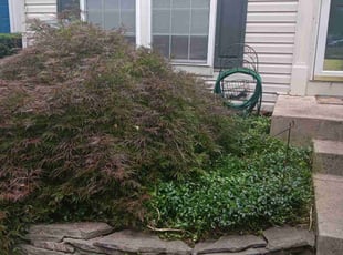 Weeding by John Bell for Cathy C. in Frederick, MD