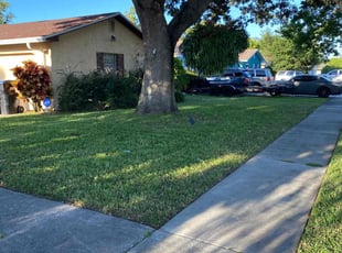 Kate N.'s Lawn Care service result
