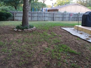 Cleanups by Emma Perales for Bryan L. in Arlington, TX