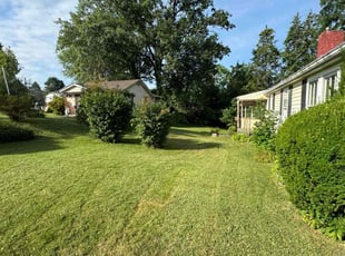 Cierra S.'s Lawn Care service result