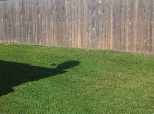 Randy M.'s Grass Cutting service result