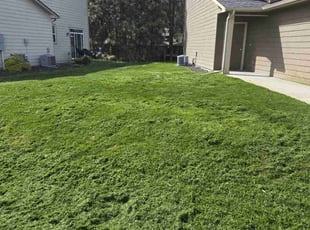Jeff H.'s Yard Cutting service result