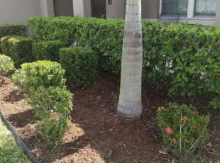 Weeding by Mark Daley for Courtney S. in Palm Bay, FL