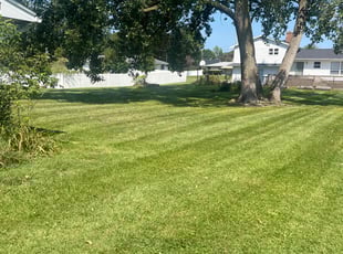 Erica E.'s Lawn Service service result