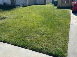 Matt C.'s Lawn Mowing service result