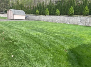 Shirley B.'s Lawn Care service result