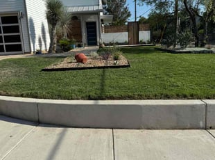 Patricia N.'s Lawn Care service result