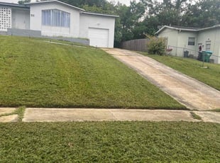 Joseph A.'s Yard Cutting service result