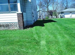Eleni K.'s Lawn Mowing Service service result