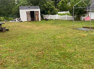 Ali K.'s Lawn Mowing service result