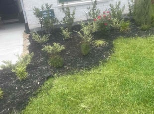 Weeding by Sharonda Sanford for Jimmy S. in Richmond, TX