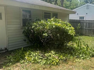 Bush Trimming by Caree Keith for Kara H. in Waldorf, MD