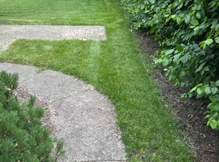 Beth J.'s Lawn Care service result