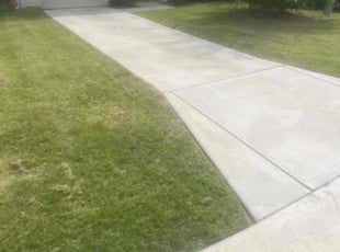 Tamara M.'s Lawn Care service result