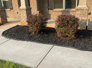 Mulching by Joshua Bowles for Risheshwar P. in Locust Grove, GA