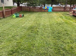 Susan B.'s Lawn Maintenance service result