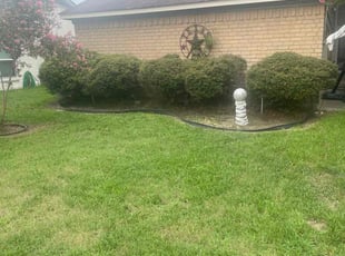 Bush Trimming by Warren Carter for Stephanie H. in Spring, TX