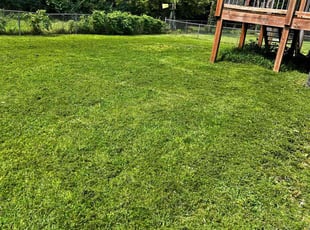 Kristy Z.'s Lawn Maintenance service result