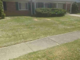 Bush Trimming by Terrance North for Madelaine S. in Cincinnati, OH