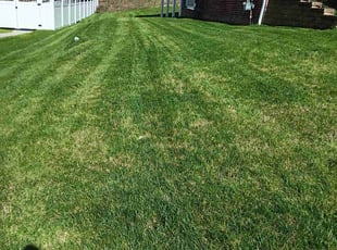 Christian S.'s Lawn Care service result