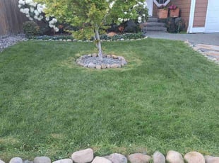 Marlynn H.'s Lawn Care service result