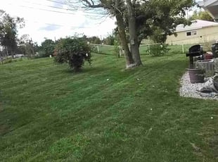Bruce Y.'s Yard Cutting service result