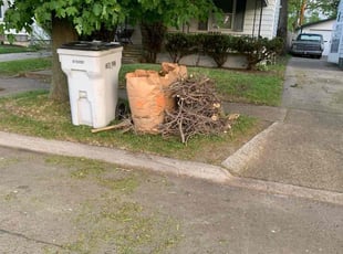 Cleanups by Sebastain Cavasos for Kerry S. in Hazel Park, MI
