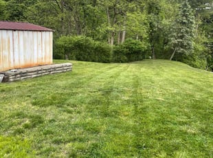 Sean O.'s Lawn Mowing Service service result