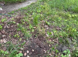 Cleanups by Jordan Eldridge for Phyllis O. in Michigan City, IN