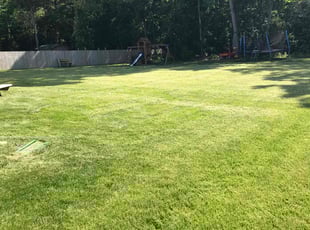 Peter C.'s Lawn Service service result