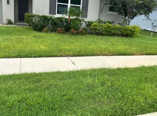 Dorothy W.'s Lawn Service service result