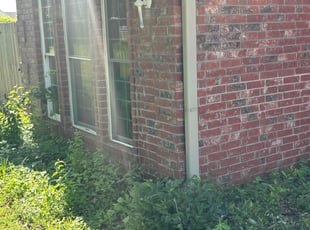 Bush Trimming by Imunique Hill for Justin H. in Broken Arrow, OK
