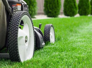 Joseph A.'s Lawn Maintenance service result
