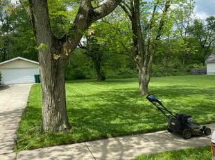 Jordan P.'s Lawn Care service result