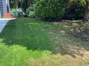 Frank W.'s Lawn Care service result