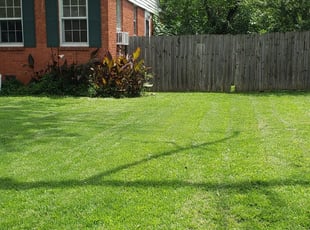Jamillah O.'s Lawn Maintenance service result