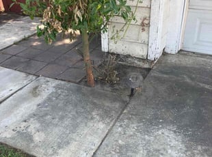 Weeding by Jose Bernal for Melanie W. in Ontario, CA