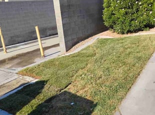 Cleanups by Jesus Rodriguez for Ang S. in Las Vegas, NV