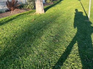 Morgan E.'s Lawn Care service result