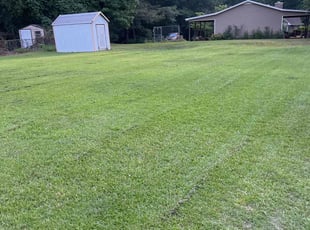 Emmett H.'s Lawn Maintenance service result