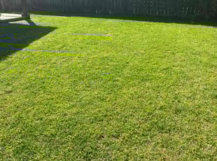 Trisha W.'s Lawn Service service result