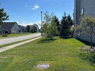 Joao L.'s Lawn Mowing service result