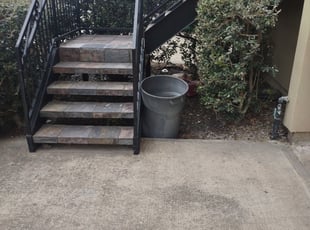 Bush Trimming by Ramon Flores for Ethan M. in Houston, TX