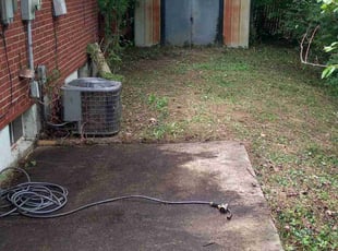 Cleanups by Tammy Skinner for Jennifer D. in Dayton, OH