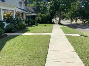 James W.'s Yard Cutting service result